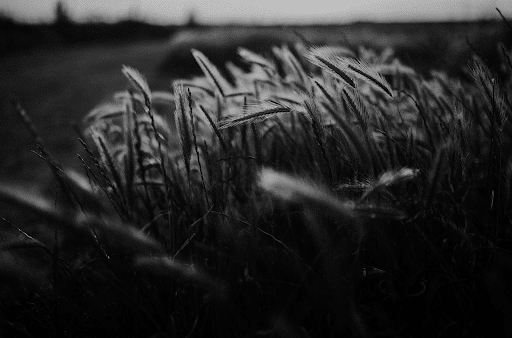unnamed